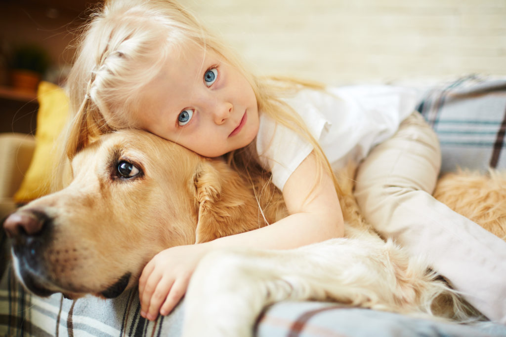 Cute child lying on Therapy Animal