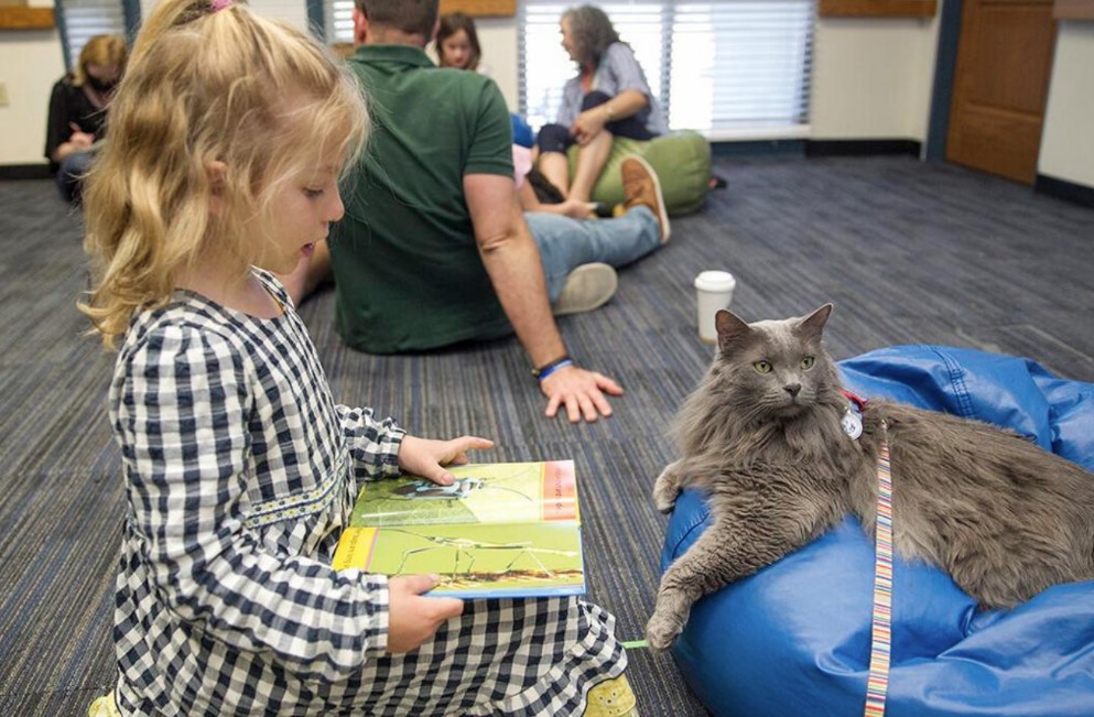 Therapy Animals of San Antonio at New Braunfels Public Library