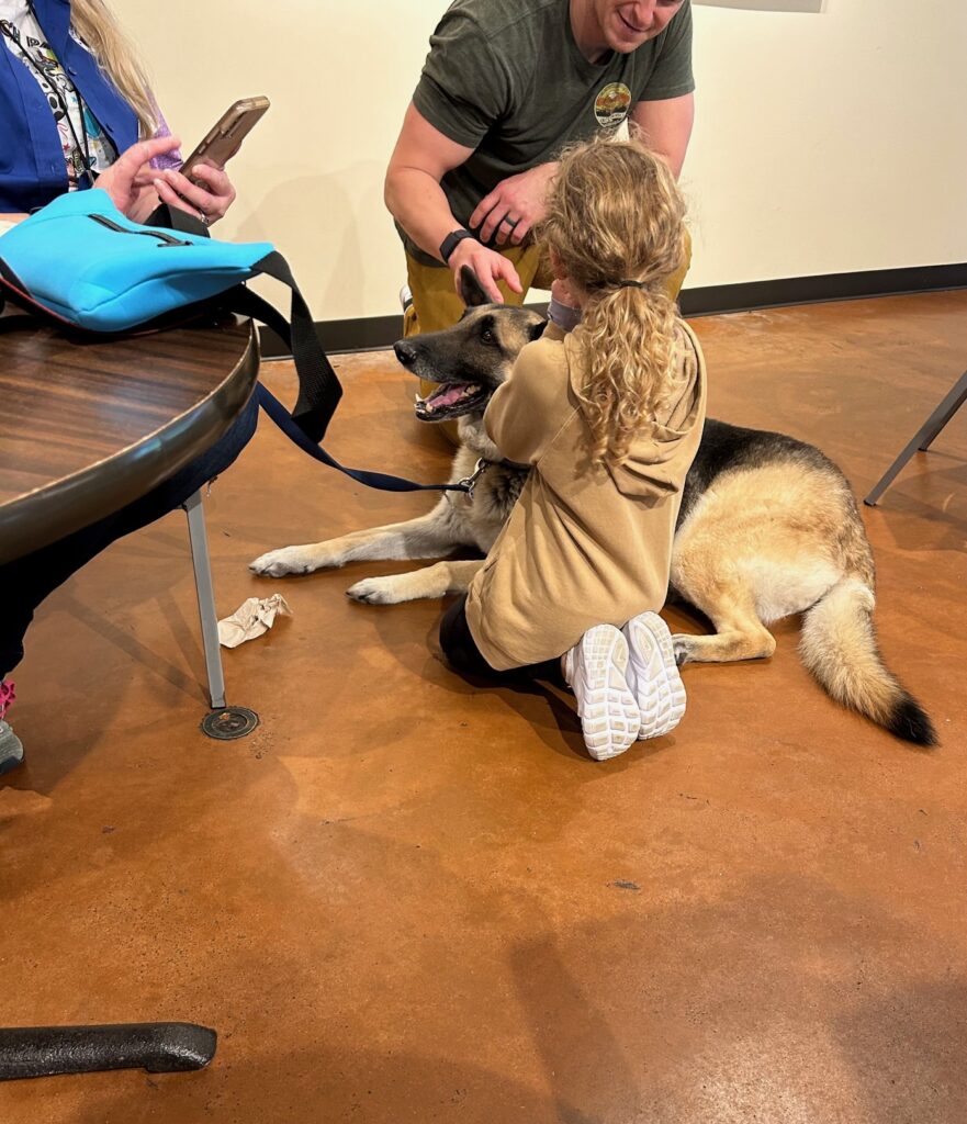 therapy animal visits near me