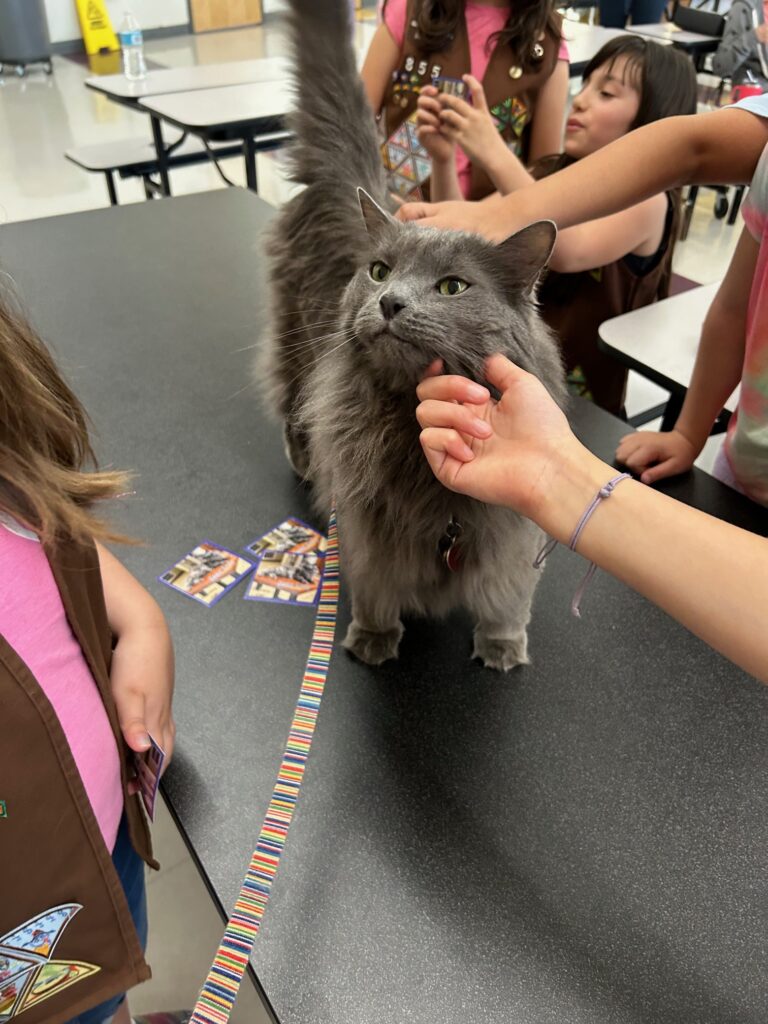 therapy animal visits near me